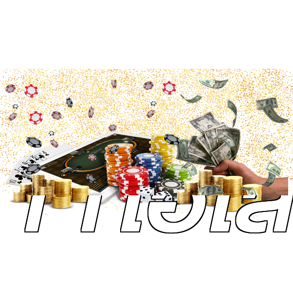 11ไฮโล